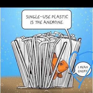 Meet your Posher, Cole